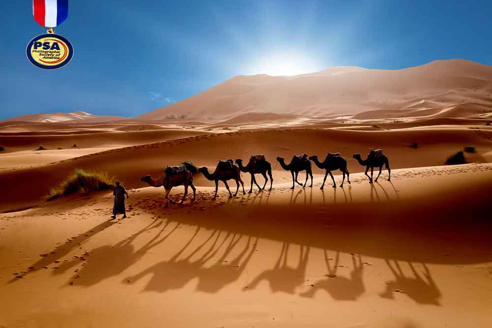 Σαρώνει ο ταλαντούχος Χανιώτης φωτογράφος Νίκος Μπασιάς – Ένα ακόμα Χρυσό και ένα Χάλκινο Παγκόσμιο βραβείο