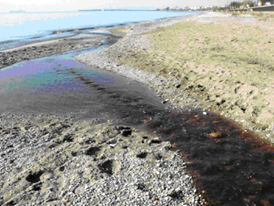 Δρ Βαγγέλης Α. Μπούρμπος | Η διαχείριση των αποβλήτων
