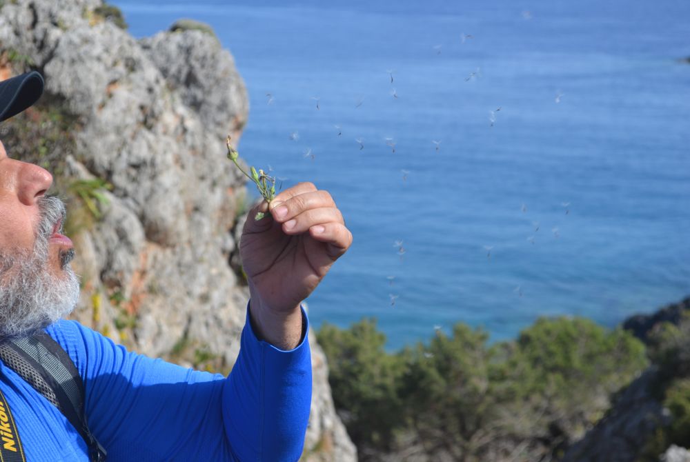 27η πεζοπορία Ελαφονήσι-Κριός (εικόνες)