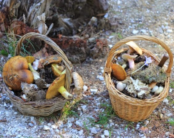 Ηράκλειο: Η ζωή της κρέμεται από μια κλωστή…