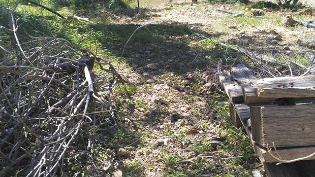 Σύλληψη ενός ατόμου για συρματοπαγίδες στην περιοχή Γουρνιών Ιεράπετρας (video)