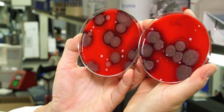 cefb4679b52aa64a6df7c5e759f40724_XL