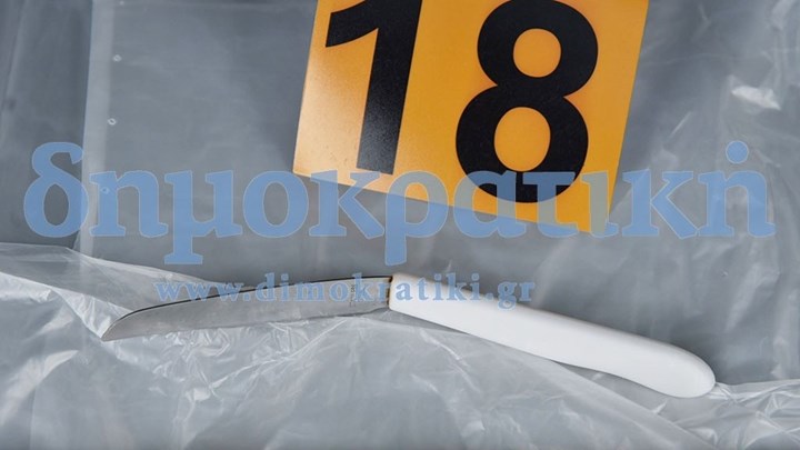 Ανατριχιαστικές λεπτομέρειες για τη δολοφονία Τοπαλούδη – Σοκάρουν τα ευρήματα στο “εξοχικό του τρόμου” (pics)