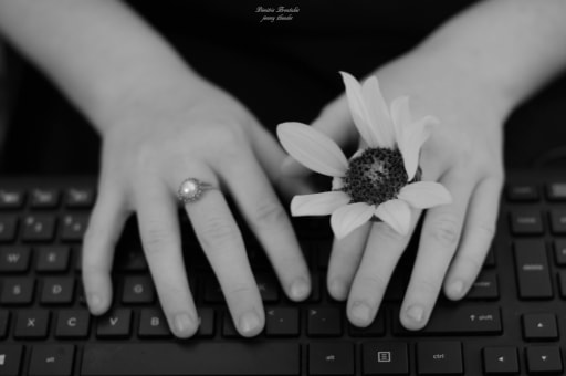 70362313_540600510020566_1266521856282722304_n