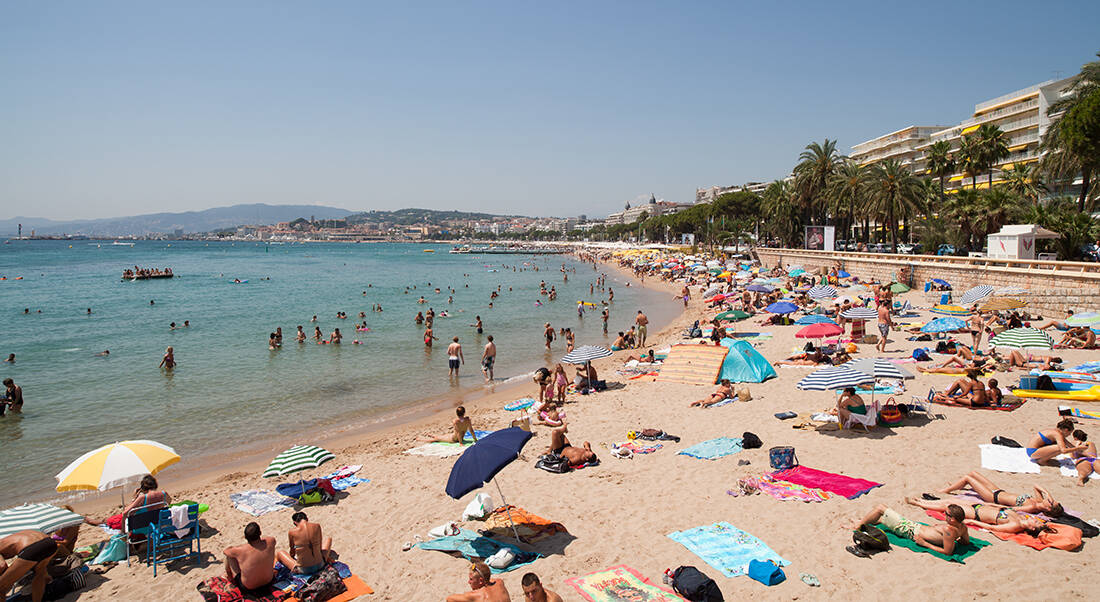 paralia1 (1)