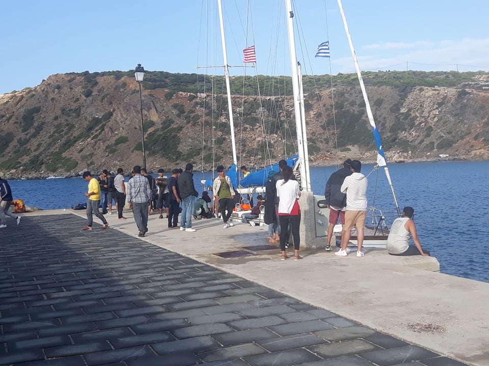 metanastes gavdos (4)