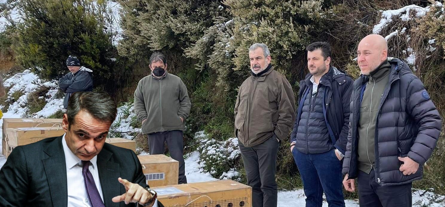 277007299_702400120899364_1475412704136933380_n(1)