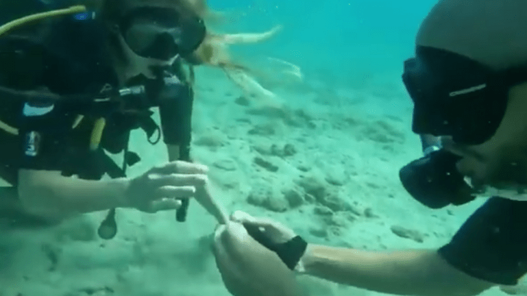 protasi_gamou-vithos