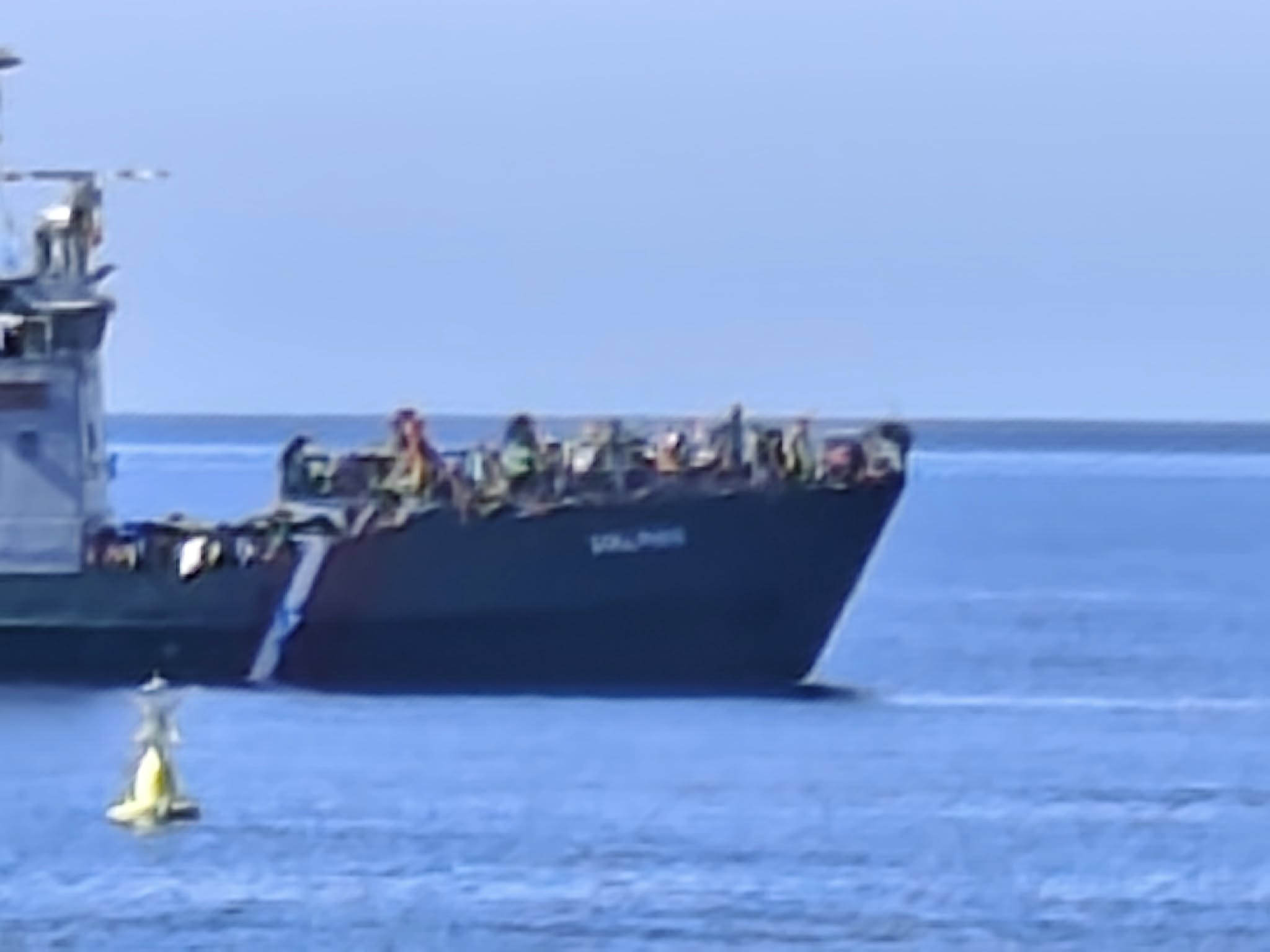 metanastes_palaioxora_xania (18)