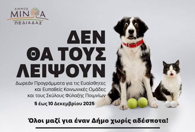 Ηράκλειο | Μαζικές στειρώσεις αδέσπτων και δεσποζόμενων ζώων συντροφιάς