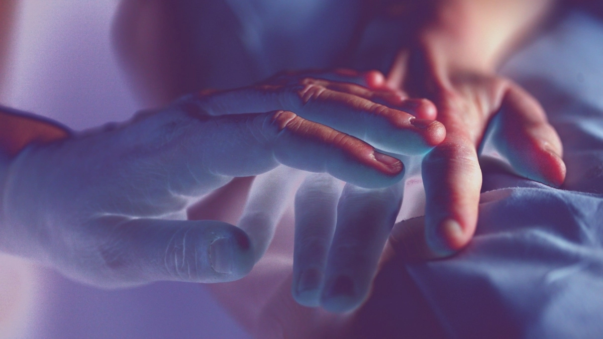 alexander-grey-r6_xcsng0kw-unsplash