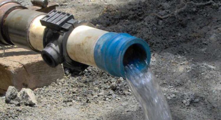 vlavi-agogou-750x410