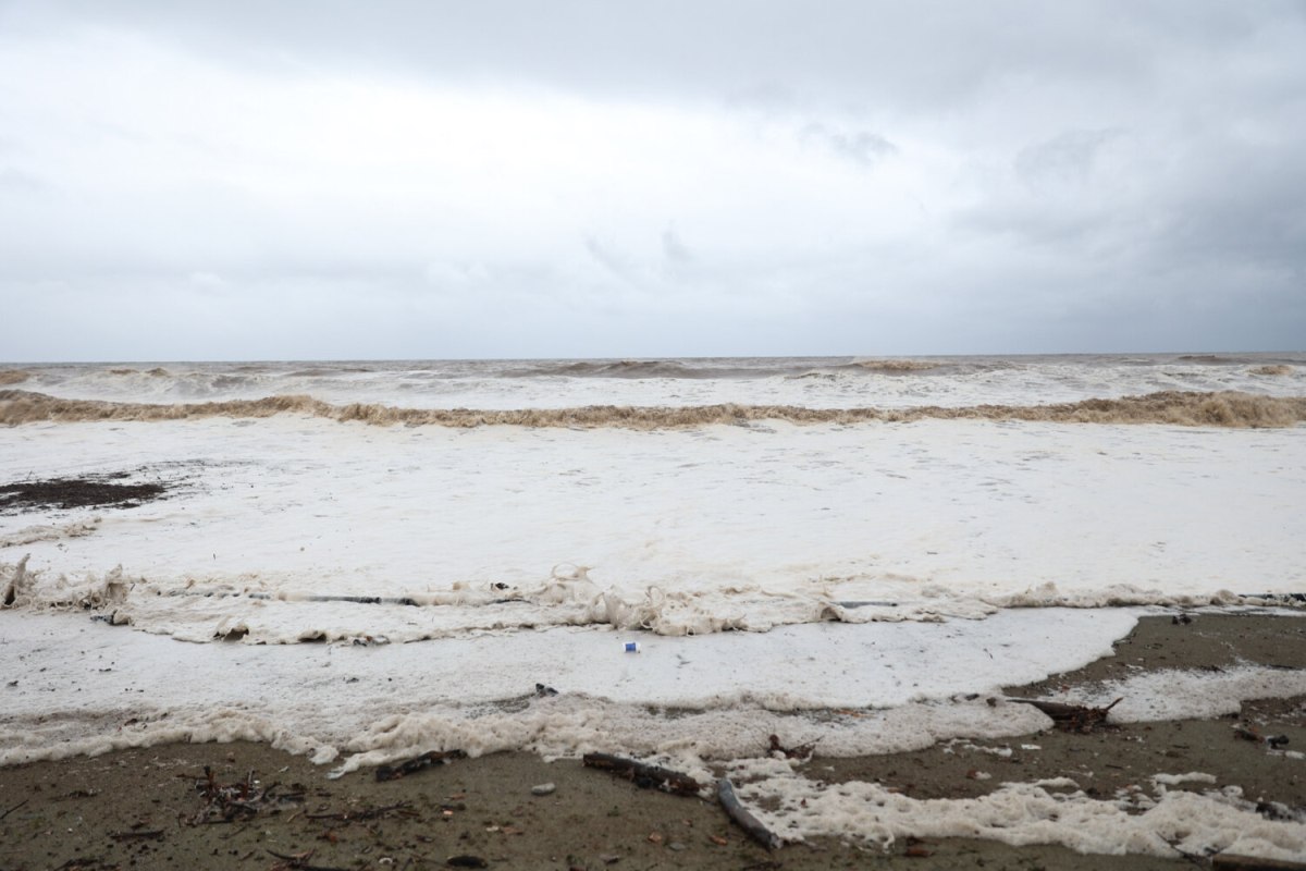 202602011242449020-1200x800