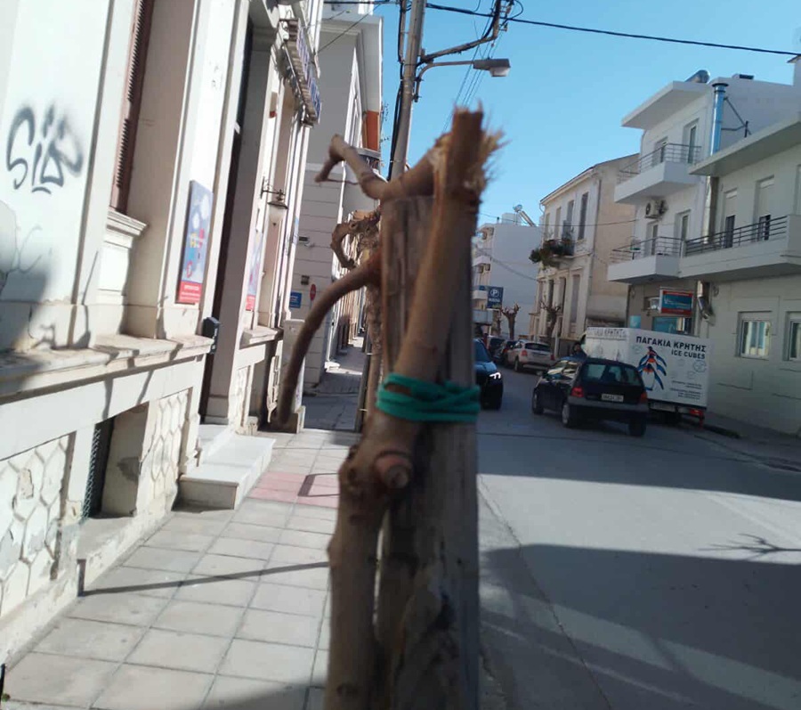 634679867_2088873955292485_5215818718525400102_n